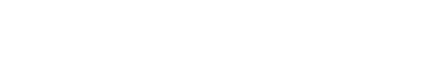 SSServicios